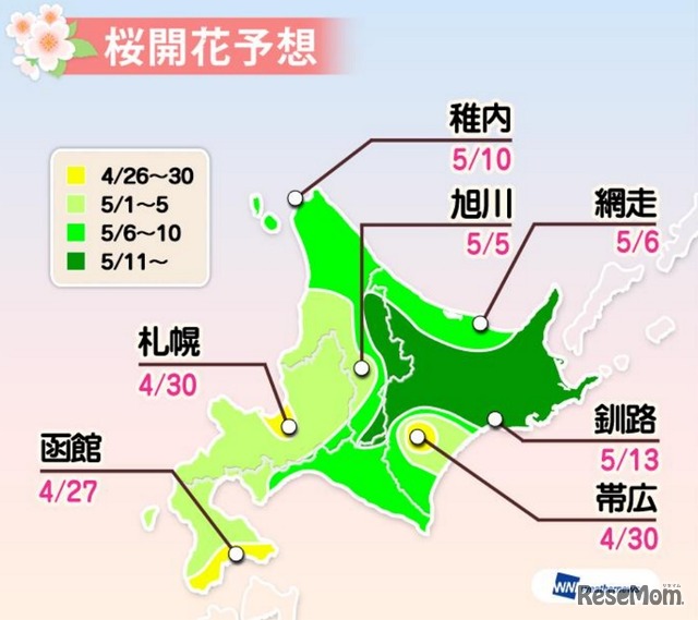 開花予想（北海道）