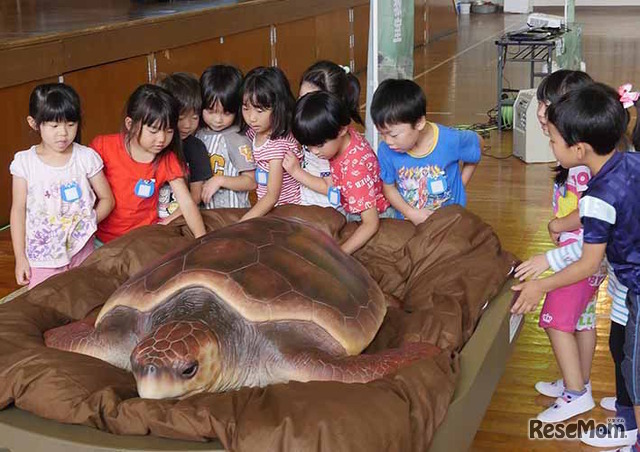 ウミガメ移動教室のようす