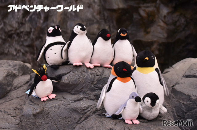 アドベンチャーワールドのペンギンパレード