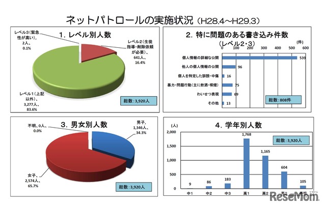 ネットパトロールの実施状況（H28.4～H29.3）