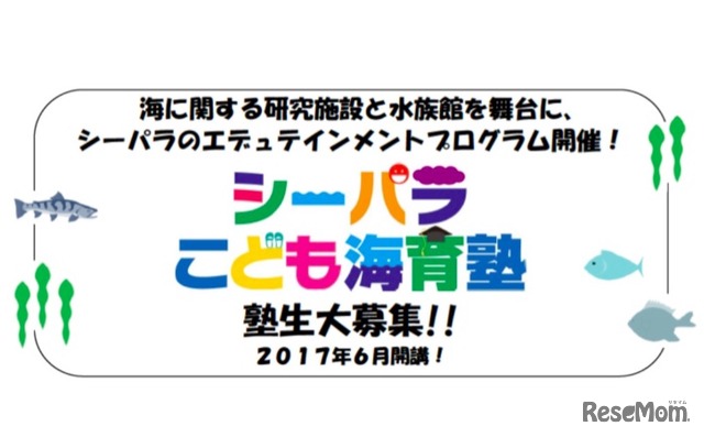 シーパラこども海育塾 塾生募集