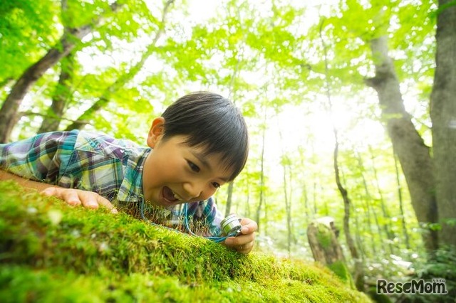 星野リゾート奥入瀬渓流ホテル「苔キッズ」