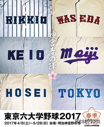 東京六大学野球の2017春季リーグ戦