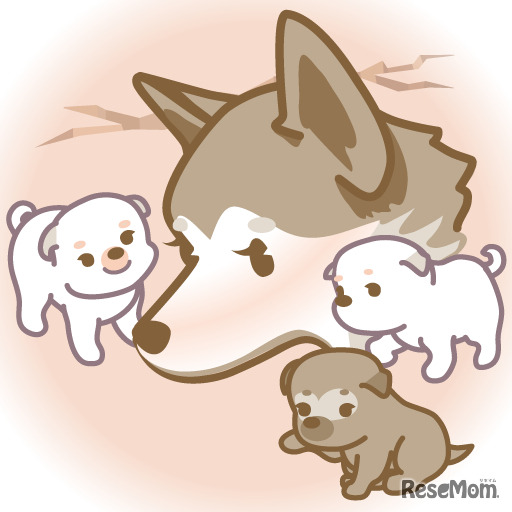 山古志村のマリと三匹の子犬