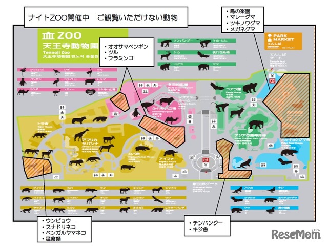 ナイトZOO開催中に観覧できない動物