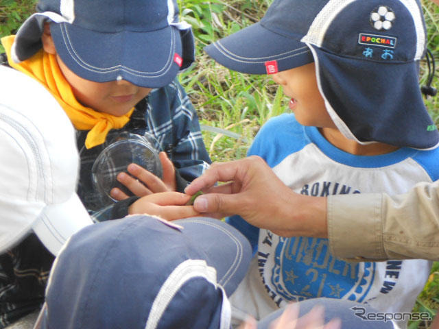 見沼たんぼ首都高ビオトープでの自然体験イベント（18日）