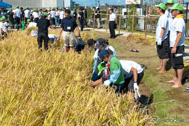 稲刈りのようす（6日）