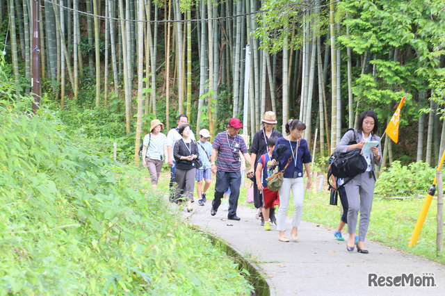 自然の中を談山神社へと向かう