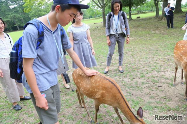 奈良公園