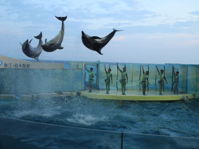 「ナイトワンダーアクアリウム2017」開催! 今年のテーマは満天の星降る水族館