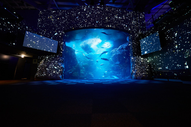 「ナイトワンダーアクアリウム2017」開催! 今年のテーマは満天の星降る水族館