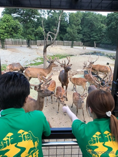 那須サファリパーク アクティビティバス「WILD RIDE」