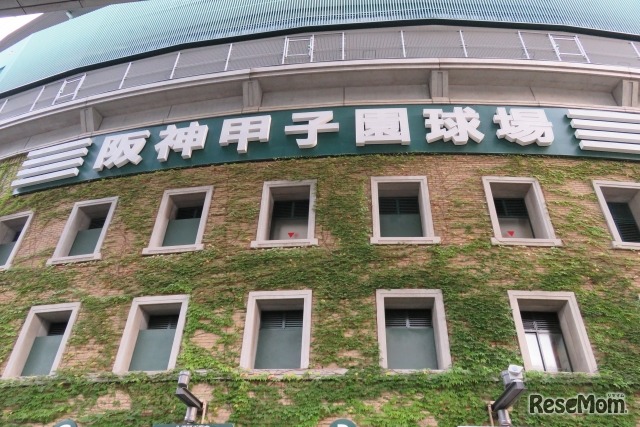 夏の甲子園がまもなく開幕する（イメージ写真）