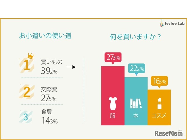 「若年層調査のTesTee（テスティー）調べ：お小遣いの使い道