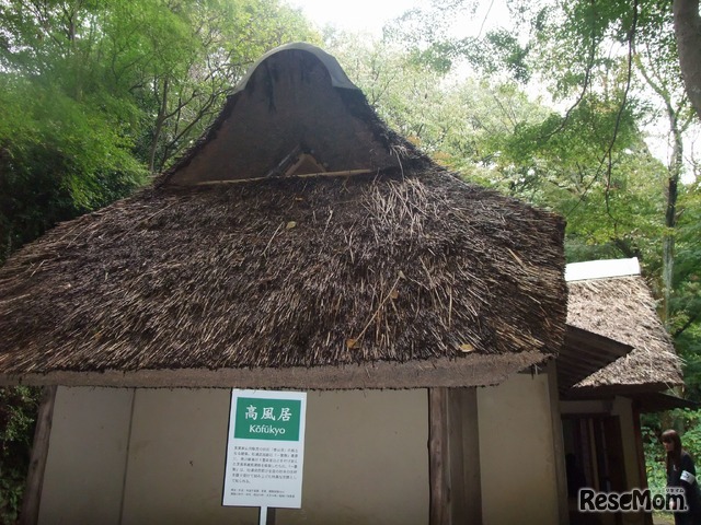泰山荘の中心的な施設である「高風居」※高はハシゴダカ