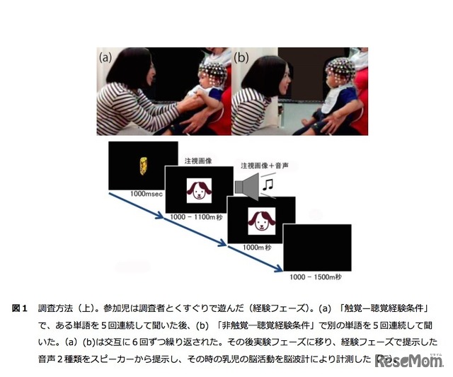 研究グループが行った調査方法