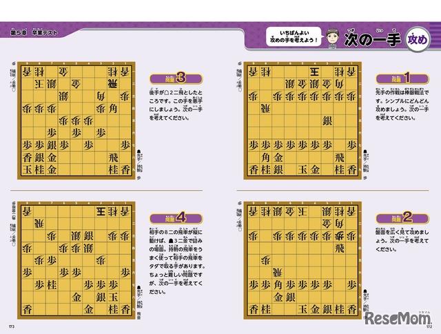 中面見本（イメージ）