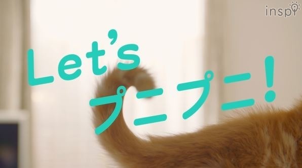 「よ～し、プニプニ探しのたびに出発ニャ！」（動画のワンシーン）