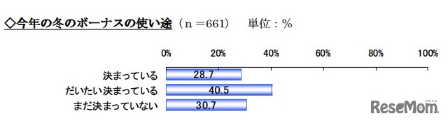 今年の冬のボーナスの使い途