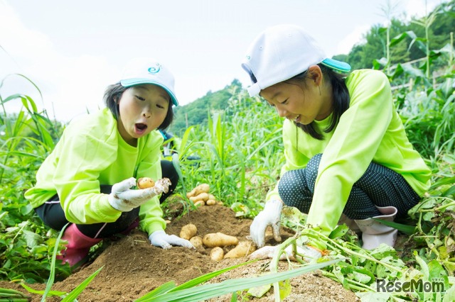 クボタeプロジェクト「地球小屋2018」　写真は過去のようす