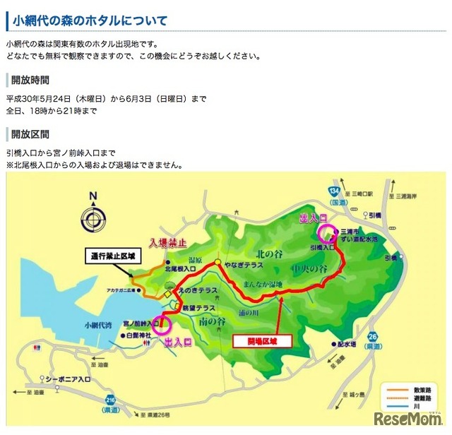 神奈川県「小網代の森」　ホタル観察のための夜間開放について
