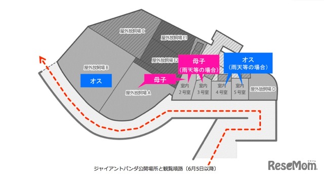 ジャイアントパンダ公開場所と観覧順路（2018年6月5日以降）