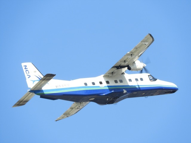 上空は近くの調布飛行場からの飛行機も飛び交う