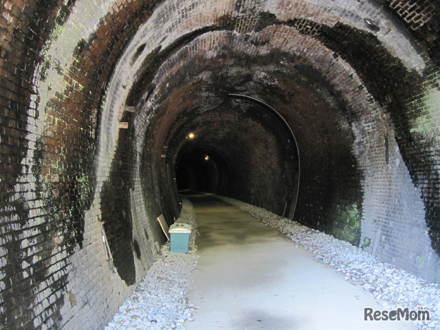 群馬県安中市　碓氷第三橋梁（めがね橋）周辺には、「アプトの道」と呼ばれる遊歩道が整備されており、横川駅にある鉄道施設（碓氷峠鉄道文化むら）や途中のトンネルなどを見学できる