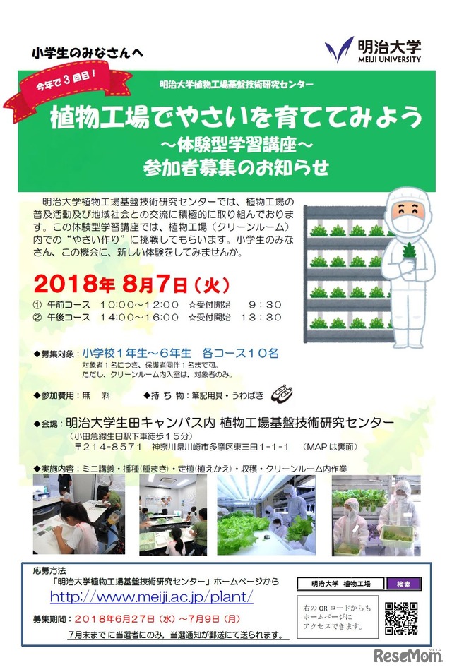 明治大学植物工場基盤技術研究センター　2018年8月7日開催「植物工場でやさいを育ててみよう～体験型学習講座～」