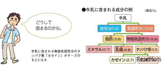 牛乳に含まれる成分の例