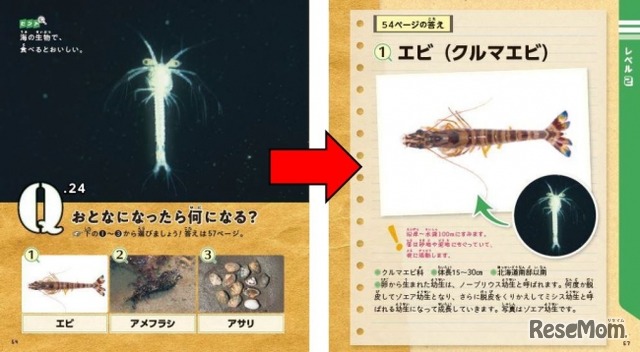 LIVEビジュアルクイズ図鑑「おどろき！変身する生き物」　レベル2では少し難しい問題を出題。学研プラスは「よく観察すればわかる…かも？」としている