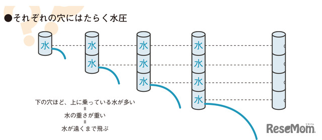 実験1 手順5