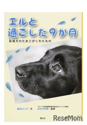 「エルと過ごした9か月 盲導犬のたまごがくれたもの」　出版社：国土社