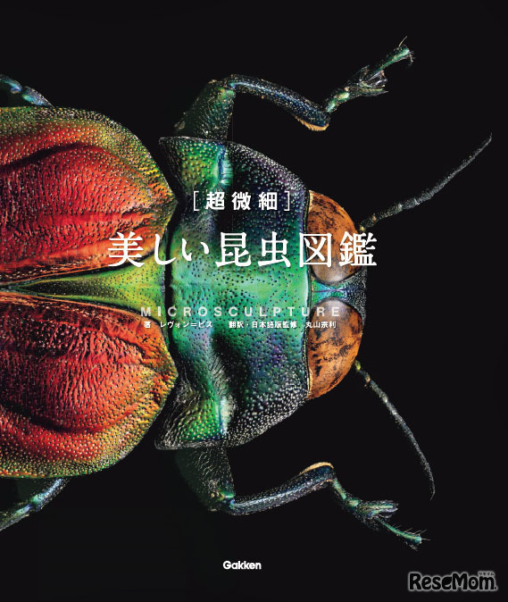 「［超微細］美しい昆虫図鑑」表紙 ベニカドアカタマムシ