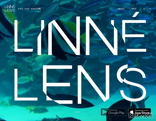 LINNE LENS（リンネレンズ）