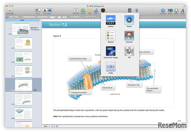 iBooks Author