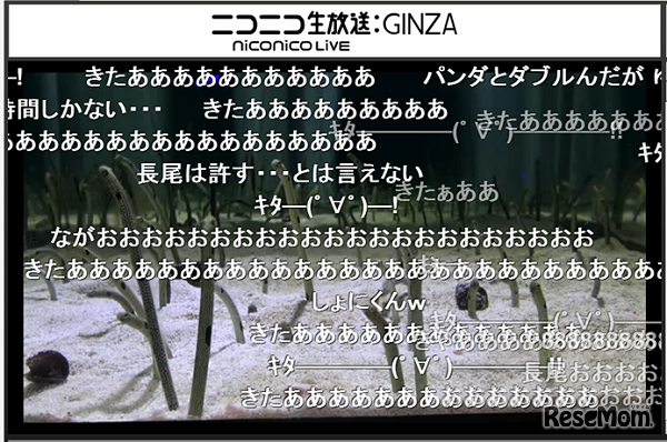ニコニコ生放送視聴画面イメージ