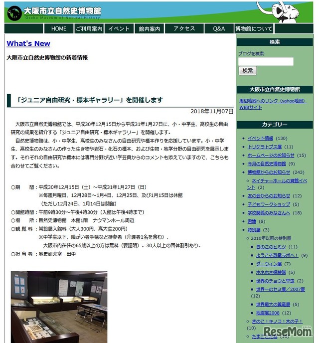 大阪市立自然史博物館「ジュニア自由研究・標本ギャラリー」