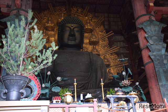 ボランディアガイドさんの案内で見学した東大寺。この企画は多くの方の協力に支えられている