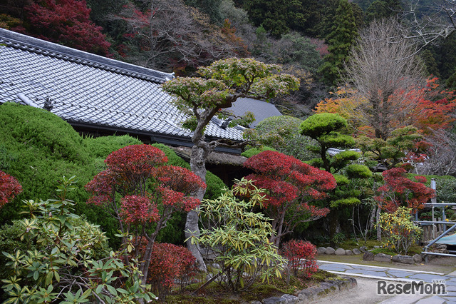室生寺の紅葉が美しい秋の風景