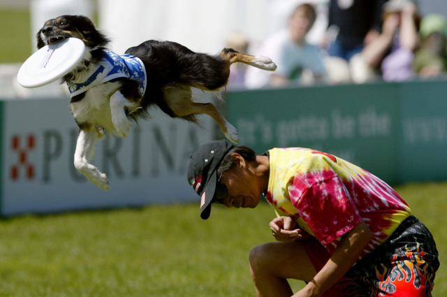 (c)Getty Images