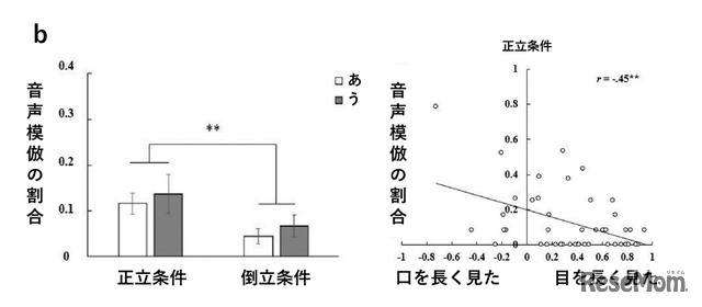 図b：音声模倣の割合（左）、音声模倣の割合と発話者への視線反応（右）の結果