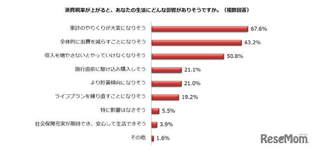 消費税率が上がると、自身の生活にどんな影響がありそうか