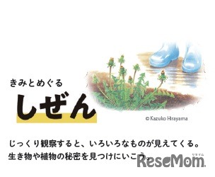 「しぜん」「からだ」「たべもの」「のりもの」の4つの切り口から、「かがく」の楽しさを伝える　(c) Kazuko Hirayama