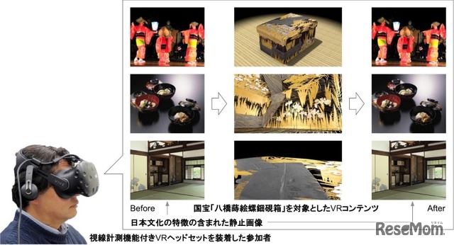 今回の研究で実施した検証イメージ