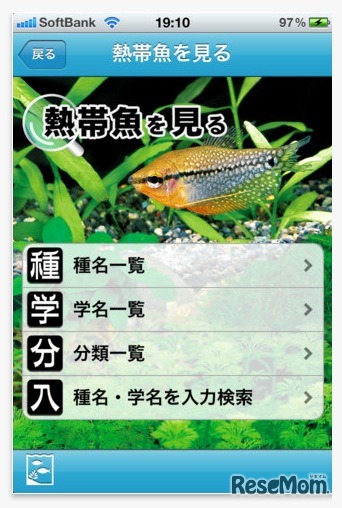 熱帯魚＆水草図鑑322選 アプリ画面イメージ