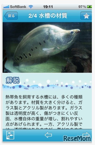 熱帯魚＆水草図鑑322選 アプリ画面イメージ