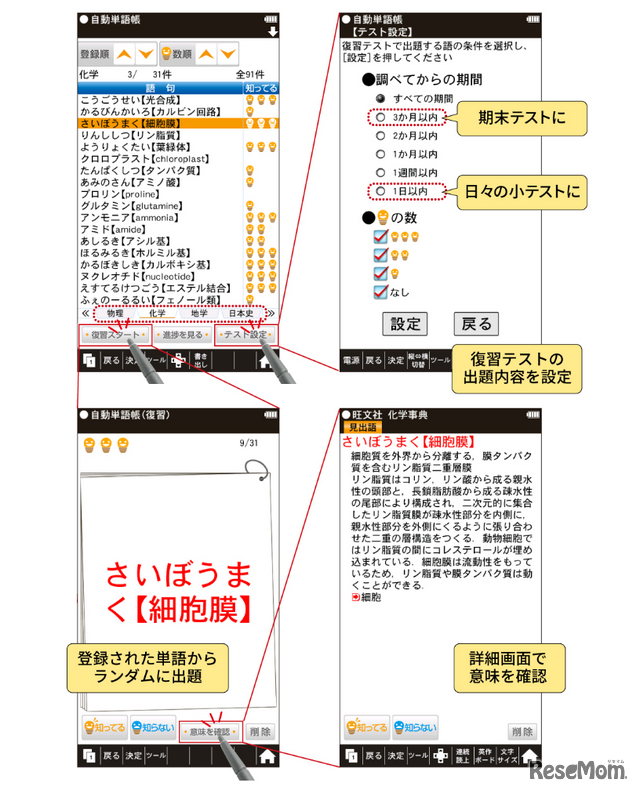 復習テストの期間を任意に設定可能な「自動単語帳」