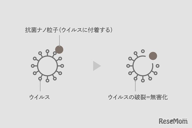 抗菌ナノ粒子がウイルスに付着