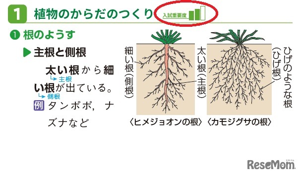 理科の紙面より